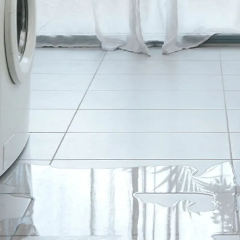 Appliance Leak Cleanup in Genoa, OH