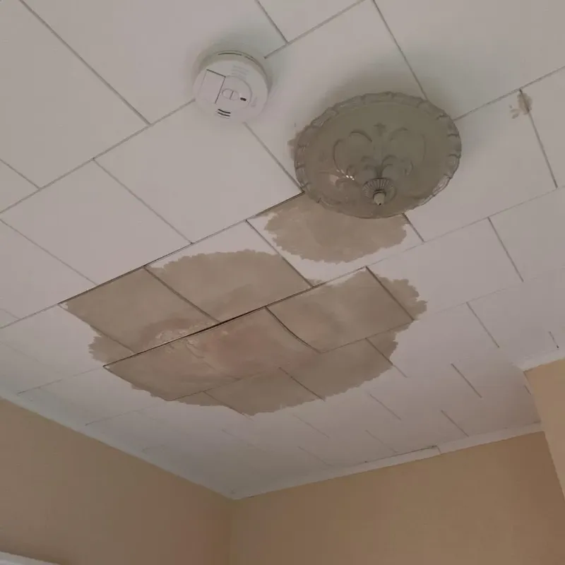 Ceiling Water Damage Repair in Genoa, OH