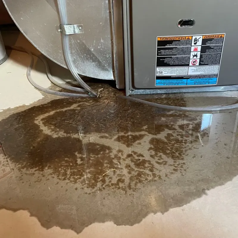 Pipe Burst and Leak Restoration in Genoa, OH