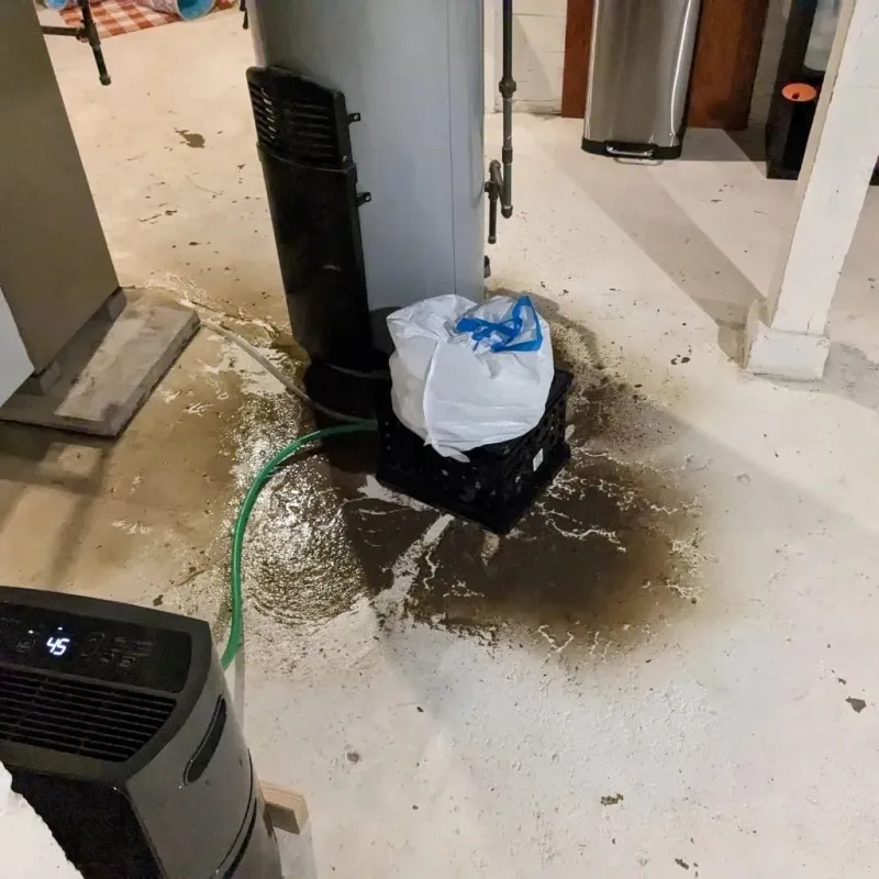 Sewage Backup Cleanup Service in Genoa, OH
